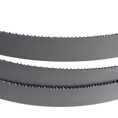 Imachinist S52121214SQ M42 Bi-Metal Bandsaw Blades 52-1/2" X 1/2" X 14 TPI - size: 14TPI-SQ