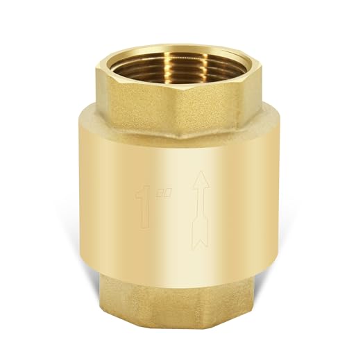 1" NPT Vertical Spring Check Valve, Brass, Heavy-Duty, Female Thread, DN25 - size: 1"-NPT