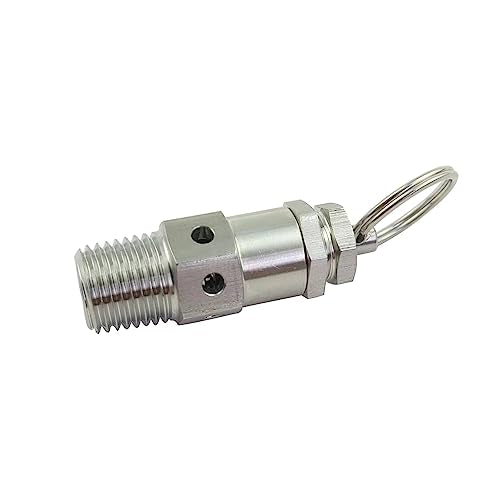 1/4" NPT Adjustable Pressure Relief Valve SS304 Stainless Steel PRV Safety Valve with Lock, 20psi Set Pressure,0-25psi Pressure Range - color: 20psi Set Pressure
