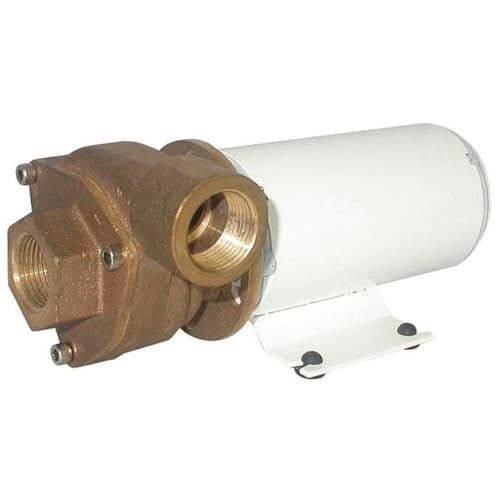 Dayton Marine Centrifugal Pump,1/8 HP,24VDC 5PXW8-1 Each