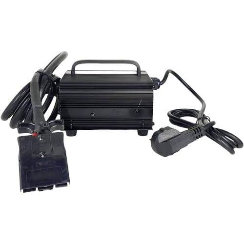 XYZIL Battery Charger SWCH24V10A-B Compatible with Heli Pallet Jacks Electric Forklift Truck Ground Cattle Handle