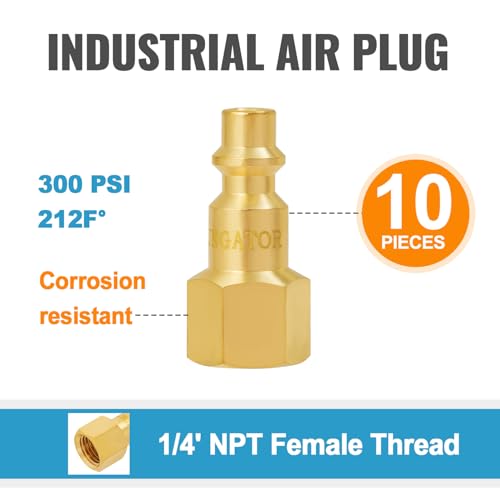 SUNGATOR Brass 1/4 Inch Female Air Plug,10-Pack NPT Industrial Hose Fitting - size: 1/4'' Female, style: 10 Pack