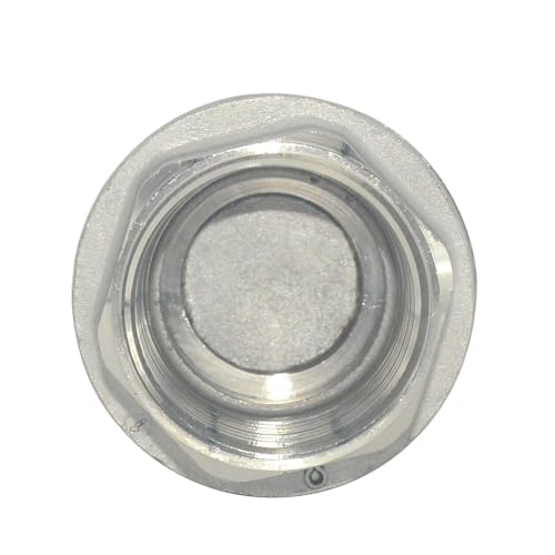 1" NPT Female WOG1000 Check Valve, Spring Loaded In-line Low Cracking Pressure, Stainless Steel SS316 CF8M (1 Inch)… - size: 1 Inch