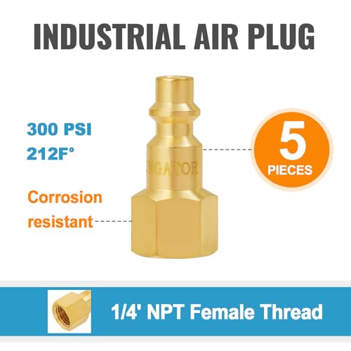 SUNGATOR Brass 1/4 Inch Female Air Plug, 5-Pack NPT Industrial Hose Fitting - size: 1/4'' Female, style: 5 Pack
