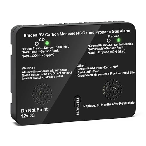 briidea 2-in-1 RV Accessories Gas Detector