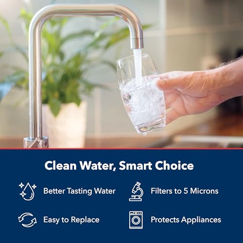 US Water Systems 5 Micron Water Filter 20 X 4.5, Pleated Water Filter Replacement, Removes Sediment and Improve Taste and Clarity of Water, Made in the USA - Pack of 2 - size: Pack of 2