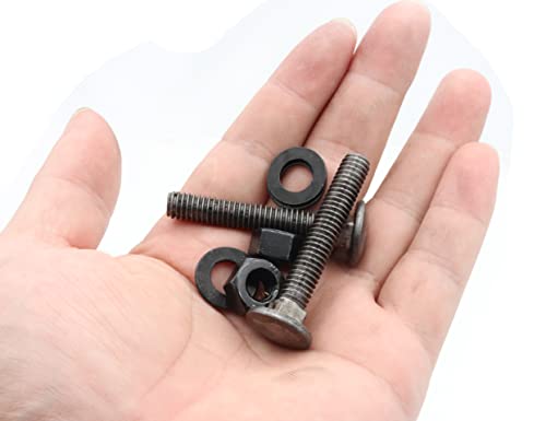 LBY 10 Sets Carriage Bolts Screws Assortment Kit, 5/16-18 x 2'' Round Head Square Neck Bolts (with Hex Nuts and Flat Washers), 45# Steel (Black) - size: 5/16-18 x 2"