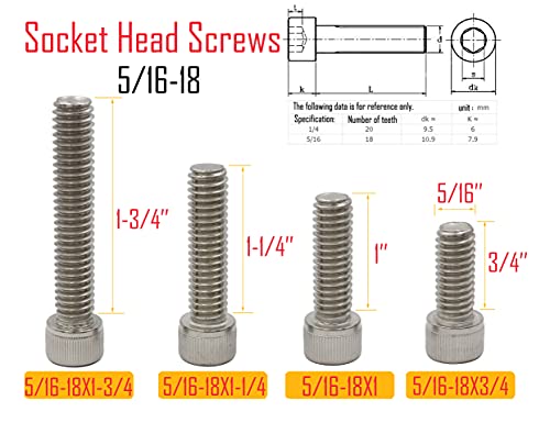 LBY 20pcs Socket Head Cap Screws, 5/16-18 × (3/4''-1-3/4'') Socket Head Screws Assortment Kit, 4 Sizes, 304 Stainless Steel (Silver) - color: Silver, size: 5/16-18