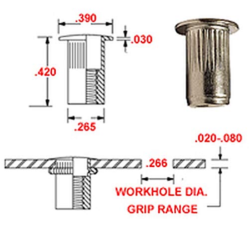 6-32 X .020-.080 Grip Range - Stainless Steel, Large Flange Rivet NUT (10)