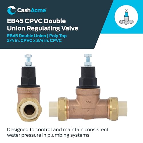 Cash Acme EB45 Pressure Regulating Valve, Double Union, 3/4 Inch CPVC, Poly Top, 60 PSI, PVA16P-DUVC-60 - size: 3/4 in., 60 PSI, style: Poly Top