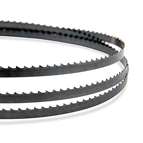POWERTEC 80 Inch Bandsaw Blades, 3/8" x 4 TPI Band Saw Blades for Sears Craftsman 12" Band Saw for Woodworking, 2 Pack (13196-P2) - style: 80 inch x 3/8" x 4 TPI (2PCs)