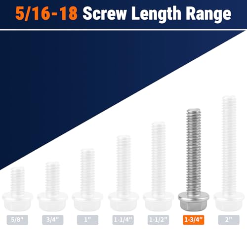 5/16-18 x 1-3/4" Flange Hex Bolts, 304 Stainless Steel 18-8, A2-70 Grade, Non-Serrated Flange Bolts for Automotive Repair, Fully Threaded, 12 Pcs - size: 5/16-18 x 1-3/4