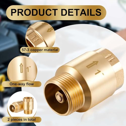 Zonon 2 Pcs 1 Inch Check Valve, One Way Spring Brass Check Valve - size: 1 Inch