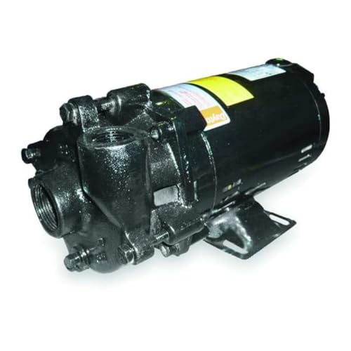 Dayton Cast Iron 3/4 HP Centrifugal Pump 208-230/460V 2ZWP4-1 Each