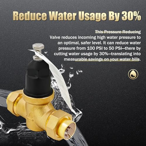 NR3XLDU 1 Inch Brass Pressure Reducing Valve w/Double Union FNPT Connection