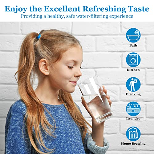 20 Micron Water Filter 10" x 2.5", Pleated Sediment Filters, 4-Pack
