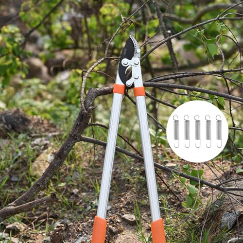 Extension Springs with Hooks, 5 Pack Stainless Steel Tension Spring Kit (Silver) - color: Silver