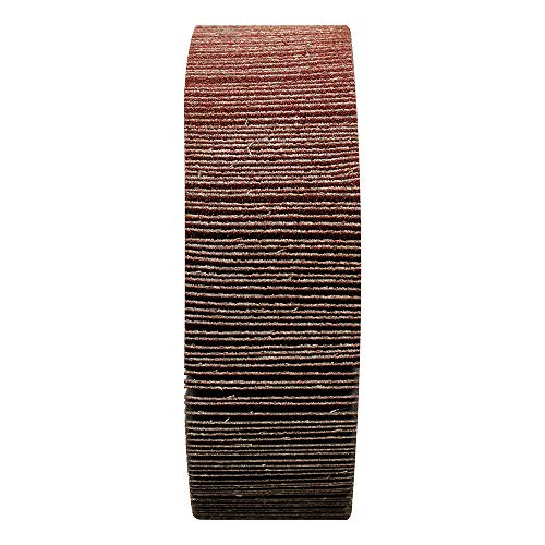 BHA Unmounted Flap Wheel for Bench Grinder, 6 x 2 x 1 Inch - 60 Grit - size: 60 Grit