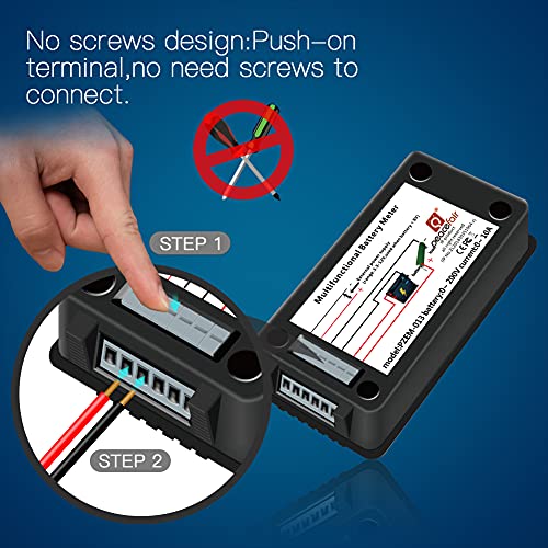 DC 0-200V 300A Battery Monitor with Shunt, 9-in-1 Digital LCD Multimeter - style: DC 300A Battery Meter(300A Shunt)