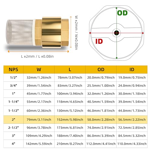 2" NPT Foot Valve with Filter, Brass, Heavy Duty, Female Thread, DN50 - size: 2 Inch