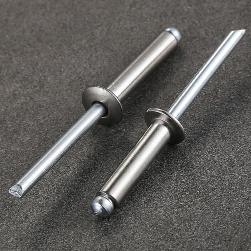 Wensilon (100Pcs)1/4"x1" stainless steel blind pro Rivets,Steel handle and stainless steel mandrel - color: Stainless Steel, size: 1/4"x1"