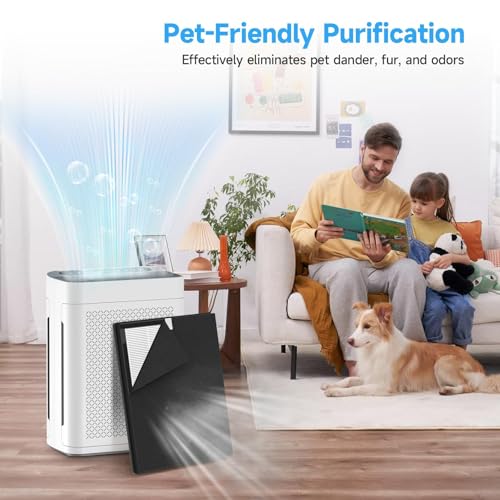 AP300 Replacement Filter Compatible with DBFIT AP300 Air Purifier, 2 Pack