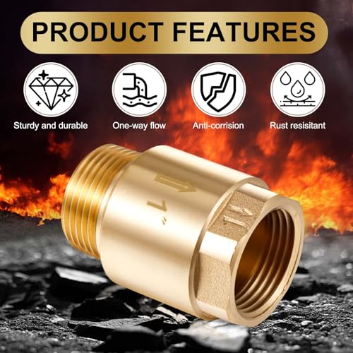 Zonon 2 Pcs 1 Inch Check Valve, One Way Spring Brass Check Valve - size: 1 Inch