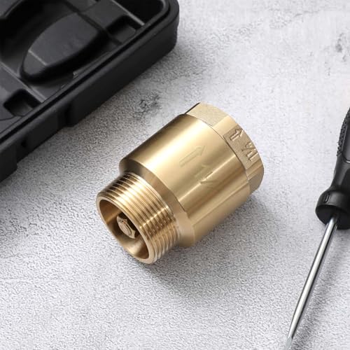 Zonon 2 Pcs 1-1/4 Inch Check Valve, One Way Spring Brass Check Valve - size: 1-1/4 Inch