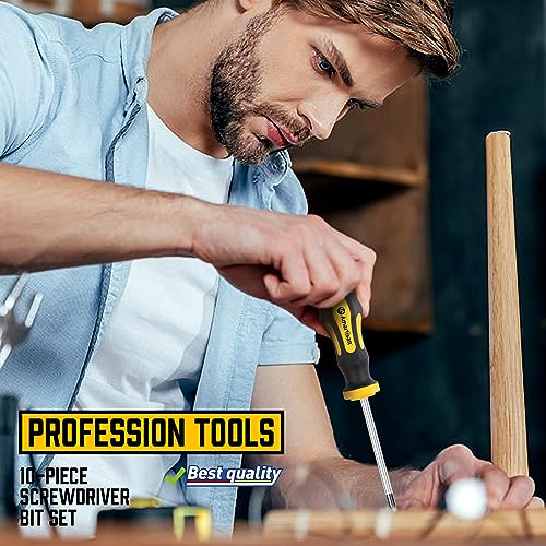Amartisan 10-Piece Magnetic Screwdrivers Set