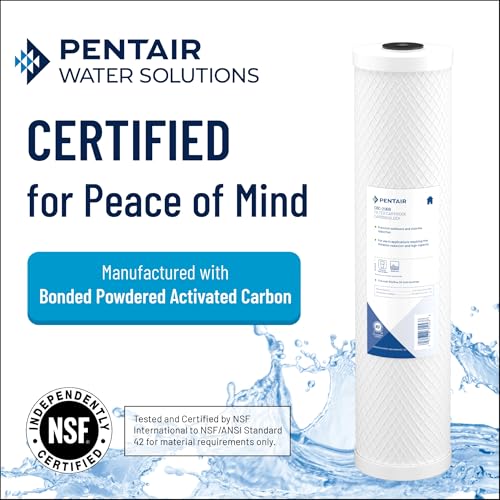Pentair Pentek CBC-20 Carbon Water Filter, 20-Inch, Whole House Carbon Block Replacement Cartridge with Bonded Powdered Activated Carbon (PAC) Filter, 20" x 2.5", 0.5 Micron - size: 20" x 2.5", style: 20 Inch x 2.5 Inch