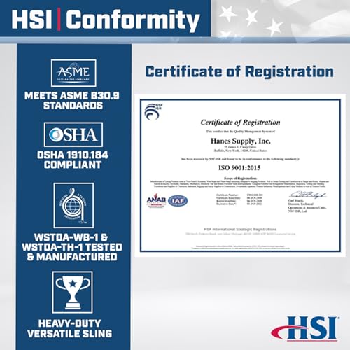 Two Ply Four Leg 1" x 5' Oblong-to-Hook Nylon Bridle Sling | EE2-801 | 1" Trade Size Alloy Master Link | 12,000 Lb. Vertical Capacity | Hanes Supply (HSI) Heavy Duty Rigging Equipment - size: 5-Foot Length