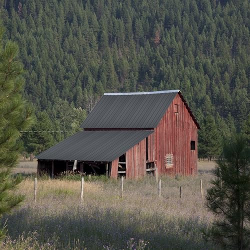 Metal Roof Panels 10 Pcs Roofing Panels Galvanized Steel with Screw Resistant,Versatile and Durable Suitable for Garages,Sheds, Stables and Mobile Homes Gray - color: Gray, size: 10 pcs/L42.52"