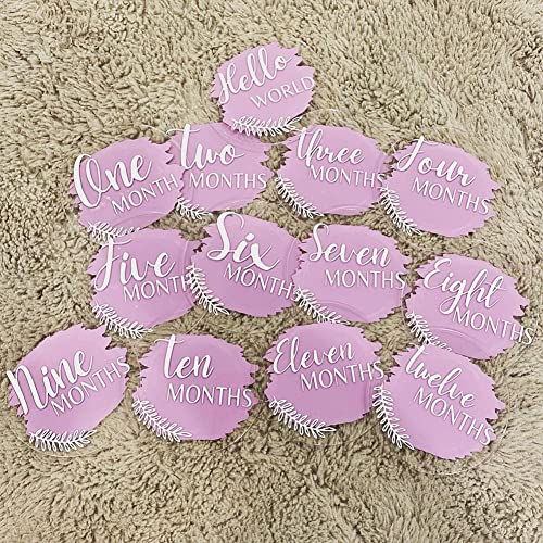 20 Pieces Clear Acrylic Circle Blanks 3.5 Inch Acrylic Disc Transparent Round Acrylic Sheet for Baby Milestone Cards, Acrylic Place Cards, Name Cards, Painting and DIY Projects (3.5 Inch) - size: 3.5 Inch