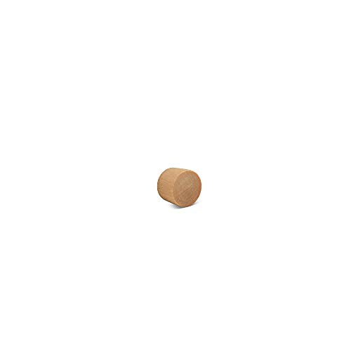 Wood Plugs for Furniture, 5/16 inch Maple Flat-Head Plug, Wooden Screw-Hole Plug Covers - Pack of 100 by Woodpeckers - size: 5/16 inch