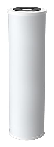 Pentair Pentek RFC-93 10" x 2.5" Carbon Water Filter, 25 Micron - size: Pack of 1, style: 10" x 2.5"