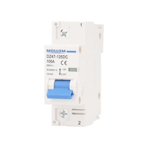 MOLLOM DC 1P 250V 100Amps C100 Miniature Circuit Breaker - style: 100A