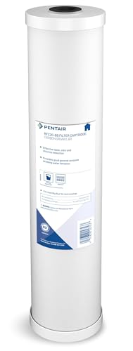 Pentair Pentek RFC-20BB Big Blue Radial Flow Carbon Water Filter - size: Pack of 1, style: 20" x 4.5"