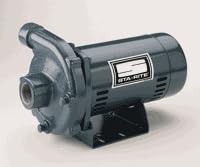 Starite JHE-63HL Centrifugal Pump, 90 gpm, 1-1/4" NPT Inlet x 1" NPT Outlet, 115/230 VAC