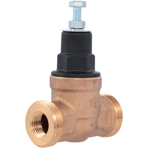 Cash Acme EB45 Pressure Regulating Valve, 1/2 Inch NPT Threaded, Poly Top, 60 PSI, PVA08P-DTH-60 - size: 1/2 in., 60 PSI