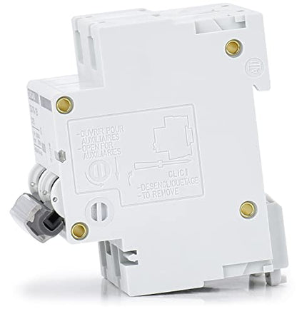AC Miniature Circuit Breaker, 100 Amp 120V/240V 2 Pole - style: 100 Amp