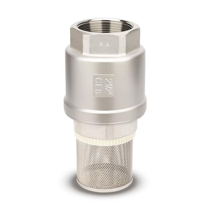 2-1/2" NPT Foot Valve with Filter, Stainless Heavy Duty Female Thread, DN65 - size: 2.5 Inch