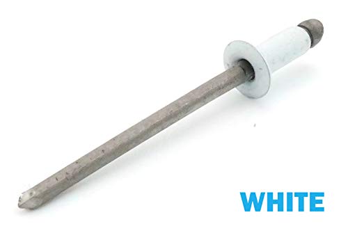 Colored Pop Rivets 1/8 Diameter #4 304 Stainless Steel Painted Blind Rivets 4-3, 1/8" x 3/16" Grip (100, White) - color: White