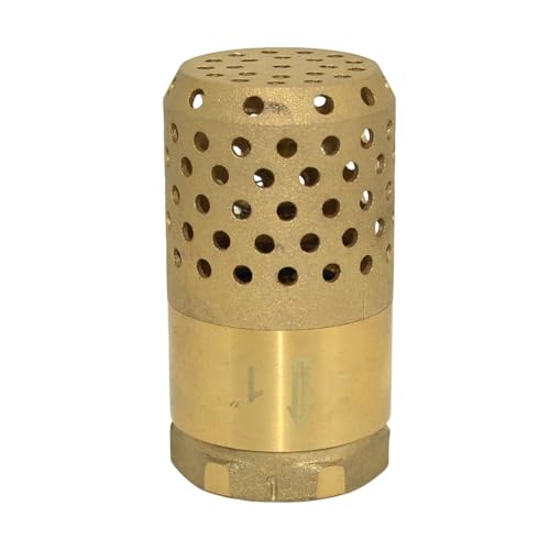 VARMHUS Brass Foot Valve with Strainer, NPT Spring Loaded Check Valve, Lead-Free One-Way Backflow Preventer with Filter Screen for Water Pump and Irrigation Systems (1")