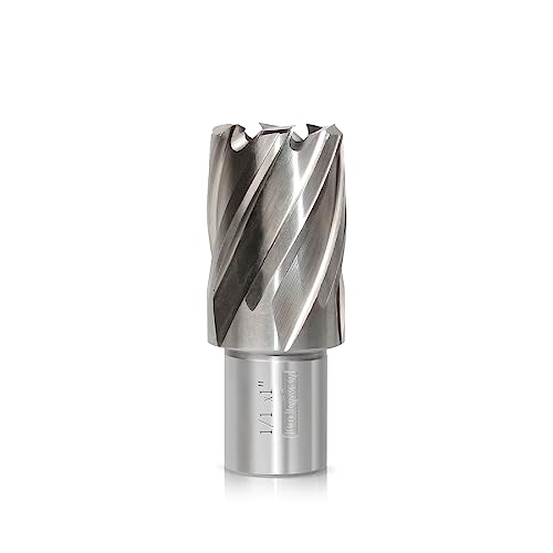 Luckyway 1 Inch Diameter x 1 Inch Depth of Cut Cyclone High Speed Steel Annular Cutter, 3/4 Inch Weldon Shank - style: 1 Inch Diameter x 1 Inch Depth