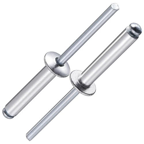Wensilon (100Pcs)1/4"x1" stainless steel blind pro Rivets,Steel handle and stainless steel mandrel - color: Stainless Steel, size: 1/4"x1"