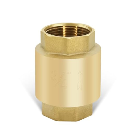 3/4" NPT Vertical Spring Check Valve, Brass, Heavy-Duty, Female Thread DN20 - size: 3/4"-NPT