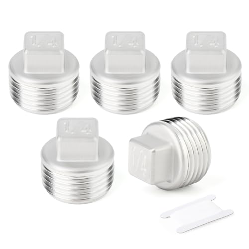 TAISHER 5Pcs 304 SS Square Thread Socket Pipe Plug Fitting 1/4" NPT Male - size: 1/4" MNPT(Plug)