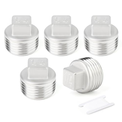 TAISHER 5Pcs 304 SS Square Thread Socket Pipe Plug Fitting 1/4" NPT Male - size: 1/4" MNPT(Plug)