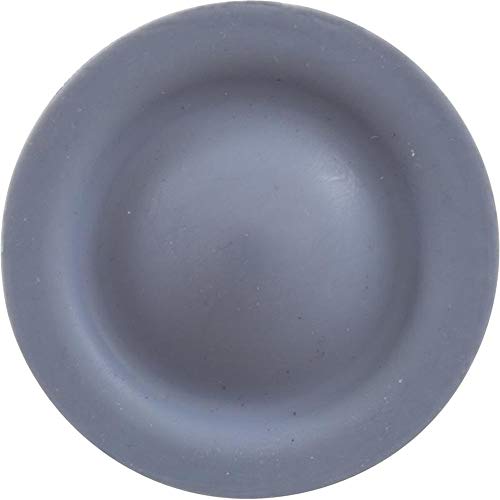 Blue-White Ep-Teflon Diaphragm C-406T