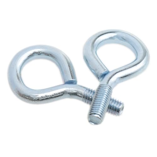 yukata 6 Pack 5/16 x 3/4 Inch Lifting Ring Eye Bolt with Nut and Washer - size: 5/16inch*3/4 Inch
